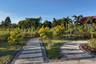 Land for sale in Khlong Muang, Nakhon Ratchasima