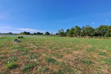 Land for sale in Nong Sarai, Nakhon Ratchasima