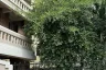 8 Bedroom House for rent in Khlong Toei, Bangkok