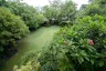 5 Bedroom House for sale in Khlong Toei Nuea, Bangkok near MRT Sukhumvit