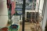 1 Bedroom Condo for rent in Supalai Park Kaset, Sena Nikhom, Bangkok near BTS Kasetsart University