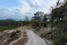 Land for sale in Taling Ngam, Surat Thani
