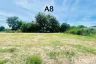 Land for sale in Nong Prue, Chonburi