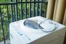 1 Bedroom Condo for rent in Plum Condo Pinklao Station, Bang Yi Khan, Bangkok near MRT Bang Yi Khan