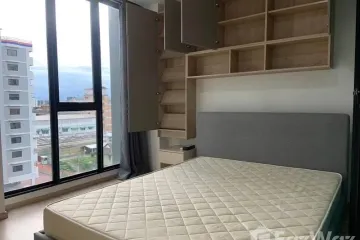 1 Bedroom Condo for rent in Serio Sukhumvit 50, Phra Khanong, Bangkok near BTS On Nut