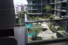 2 Bedroom Condo for rent in Nong Prue, Chonburi