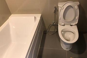 1 Bedroom Condo for rent in Ideo Sukhumvit 93, Bang Chak, Bangkok near BTS Bang Chak