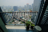 1 Bedroom Condo for rent in Siri at Sukhumvit, Phra Khanong, Bangkok near BTS Thong Lo