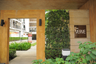 2 Bedroom Condo for Sale or Rent in Ideo Verve Ratchaprarop, Makkasan, Bangkok near BTS Phaya Thai