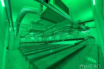 Warehouse / Factory for rent in Lak Hok, Pathum Thani