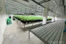 Warehouse / Factory for rent in Lak Hok, Pathum Thani