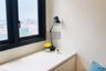 1 Bedroom Condo for rent in XT Huaikhwang, Din Daeng, Bangkok near MRT Huai Khwang