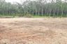 Land for sale in Mai Khao, Phuket