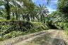 Land for sale in Pa Khlok, Phuket