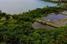 Land for sale in Pa Khlok, Phuket