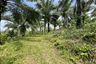 Land for sale in Pa Khlok, Phuket