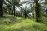 Land for sale in Pa Khlok, Phuket