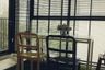 1 Bedroom Condo for rent in D 25 Thonglor, Khlong Tan Nuea, Bangkok near BTS Thong Lo