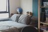 1 Bedroom Condo for sale in Atmoz Ladprao 71, Lat Phrao, Bangkok