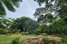 Land for sale in Pong, Chonburi