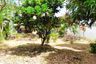 Land for sale in Nong Prue, Chonburi