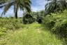 Land for sale in Pa Khlok, Phuket