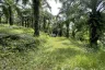Land for sale in Pa Khlok, Phuket