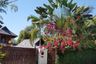 4 Bedroom Villa for Sale or Rent in Nong Hoi, Chiang Mai