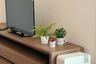 1 Bedroom Condo for rent in The Room Sukhumvit 62, Bang Chak, Bangkok near BTS Punnawithi