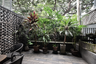 1 Bedroom Condo for sale in Siamese Gioia, Khlong Toei Nuea, Bangkok near MRT Phetchaburi