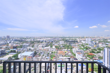 1 Bedroom Condo for rent in The Line sukhumvit 101, Bang Chak, Bangkok near BTS Punnawithi