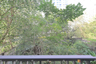1 Bedroom Condo for sale in Focus at Ploenchit, Khlong Toei, Bangkok near BTS Ploen Chit