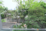 1 Bedroom Condo for rent in Via Botani, Khlong Tan Nuea, Bangkok near BTS Phrom Phong