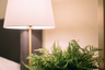 2 Bedroom Condo for rent in The XXXIX by Sansiri, Khlong Tan Nuea, Bangkok near BTS Phrom Phong