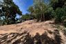 Land for sale in Bo Phut, Surat Thani
