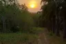 Land for sale in Ao Nang, Krabi