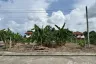 Land for sale in Chiang Mai View Doi, Nong Khwai, Chiang Mai