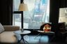 1 Bedroom Condo for sale in Ashton Asoke - Rama 9, Din Daeng, Bangkok near MRT Phra Ram 9