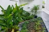 3 Bedroom Villa for rent in Bhuvana Villa, Thep Krasatti, Phuket