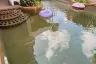 3 Bedroom Villa for rent in Nong Prue, Chonburi