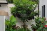 3 Bedroom House for sale in Rest Bangyai, Ban Mai, Nonthaburi