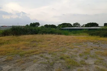 Land for sale in O Ngoen, Bangkok