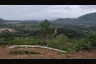 Land for sale in Na Mueang, Surat Thani