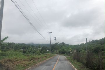Land for sale in Ban Luang, Chiang Mai