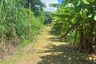 Land for sale in Ban Luang, Chiang Mai