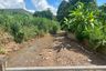 Land for sale in Ban Luang, Chiang Mai