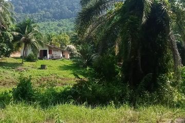 Land for sale in Nong Thale, Krabi