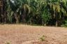 Land for sale in Nong Thale, Krabi
