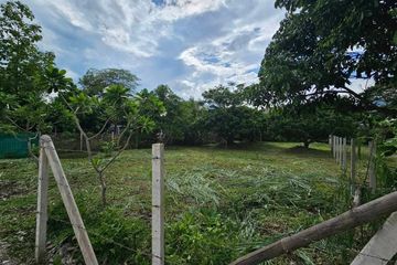 Land for sale in Nong Khwai, Chiang Mai