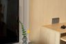 1 Bedroom Condo for rent in Ideo Q Sukhumvit 36, Khlong Tan, Bangkok near BTS Thong Lo